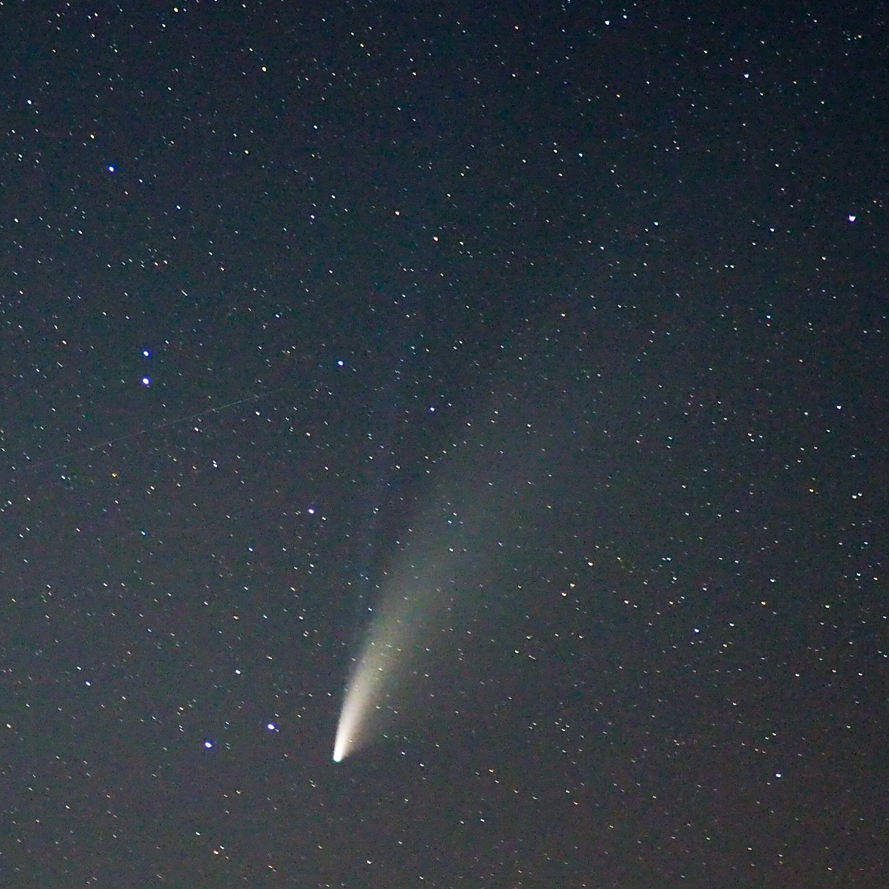 ネオワイズ彗星